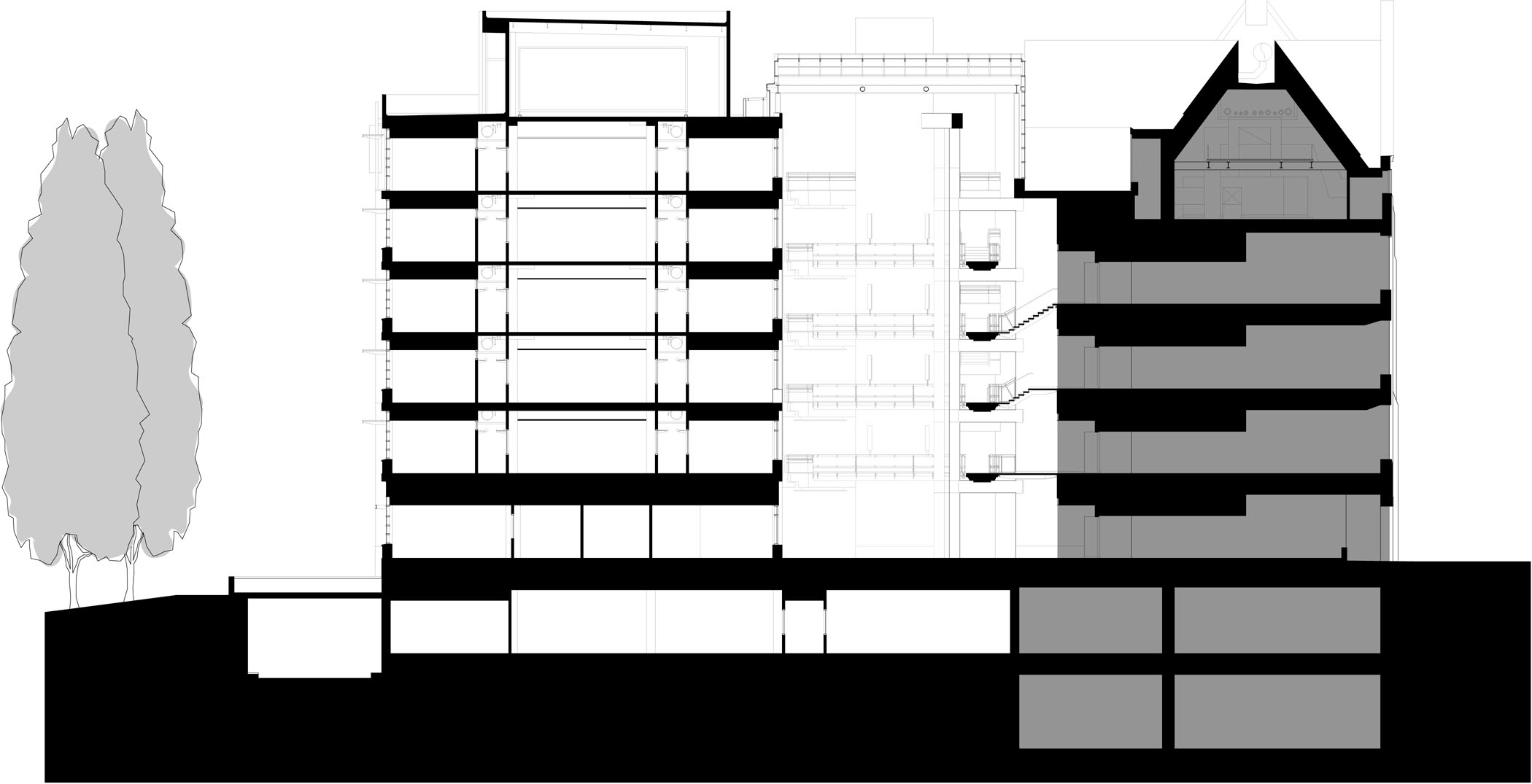 Section